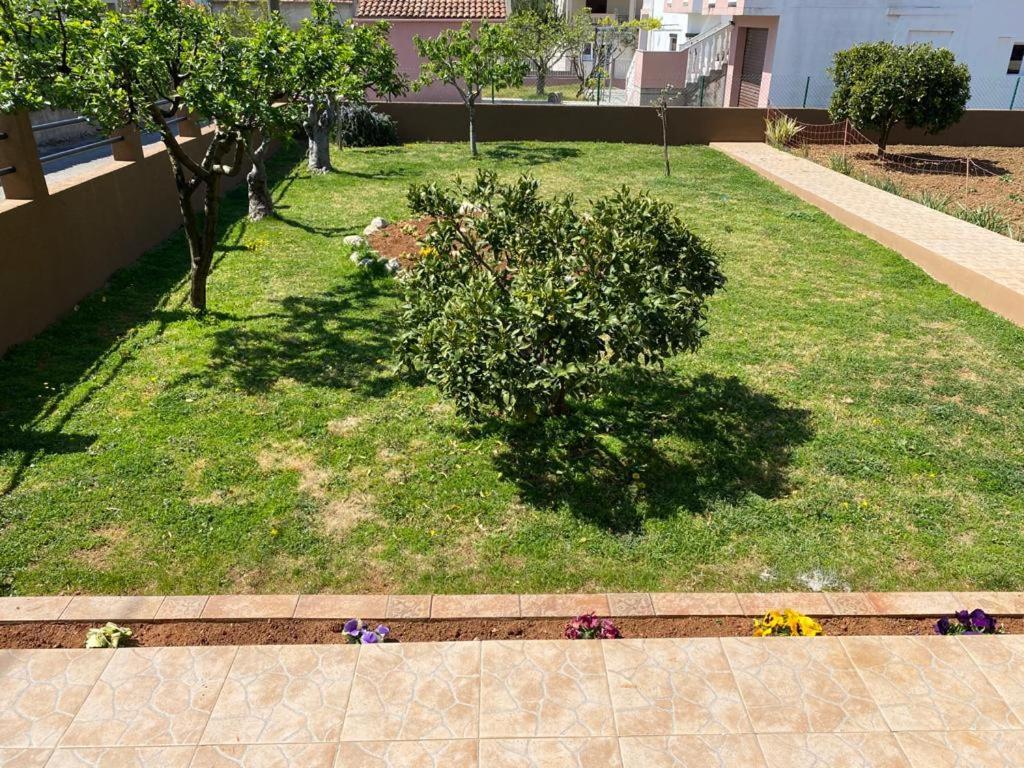 Apartmani Dubravka Bibinje Buitenkant foto